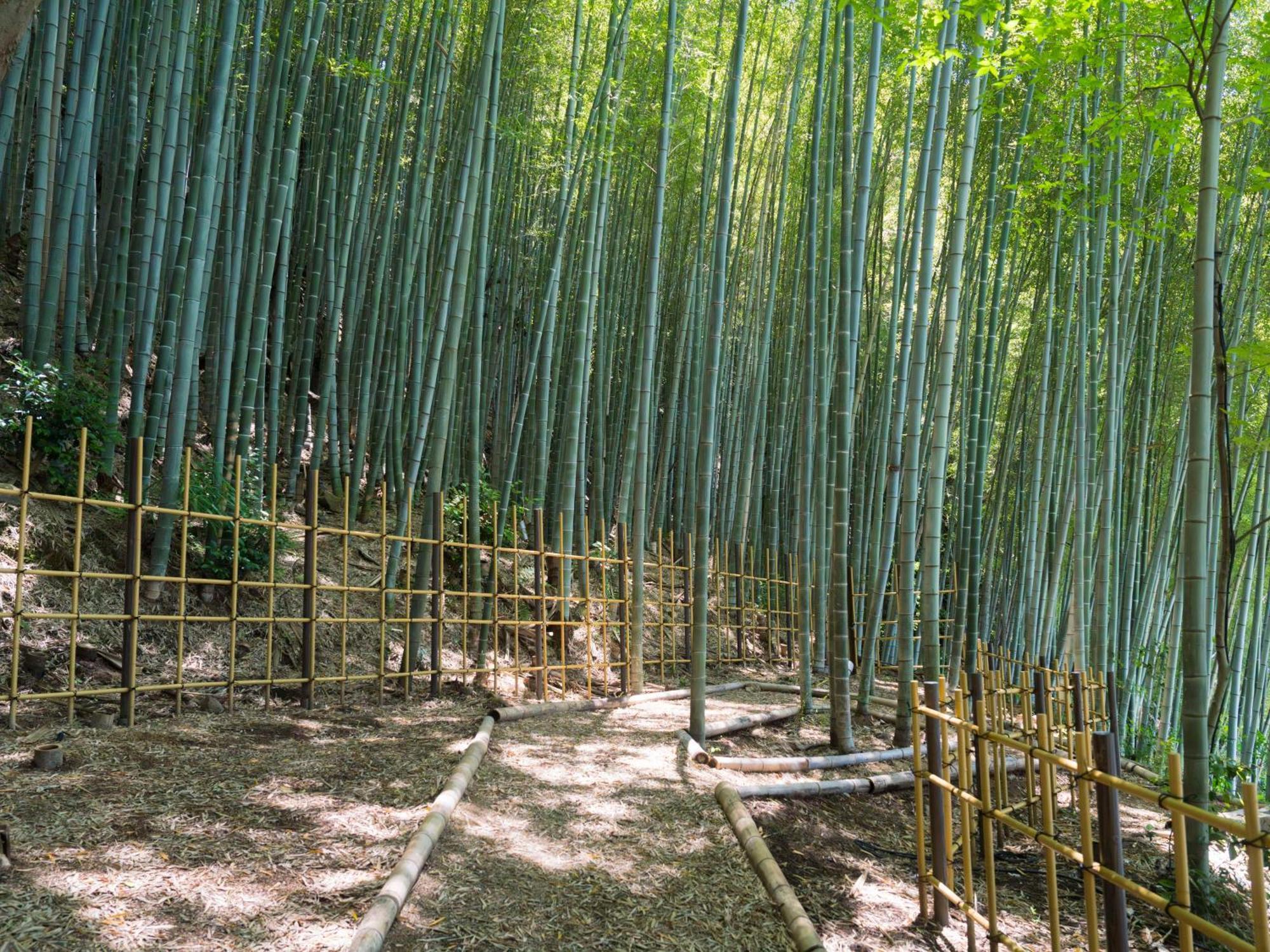 Banyan Tree Higashiyama Kyoto 호텔 외부 사진